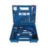 Bosch GSB 10 RE (100 Pc Kit) Professional Impact Drill