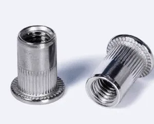 Glispro – Stainless Steel Flat Head Knurled Body Rivet Nut